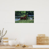 Thoroughbred Horse Standing in Flowers Poster (Keuken)