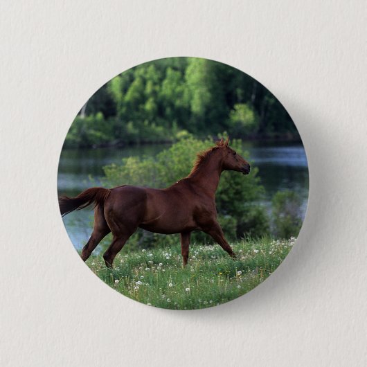Thoroughbred Horse Standing in Flowers Ronde Button 5,7 Cm (Voorkant)