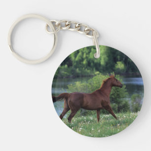 Thoroughbred Horse Standing in Flowers Sleutelhanger