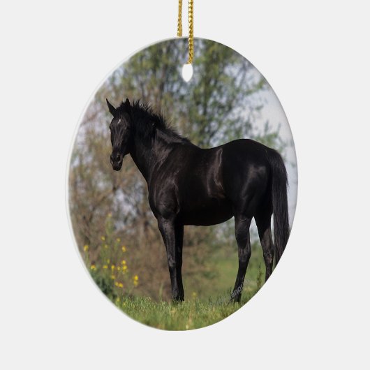 Thoroughbred Horse Standing Keramisch Ornament (Rechts)