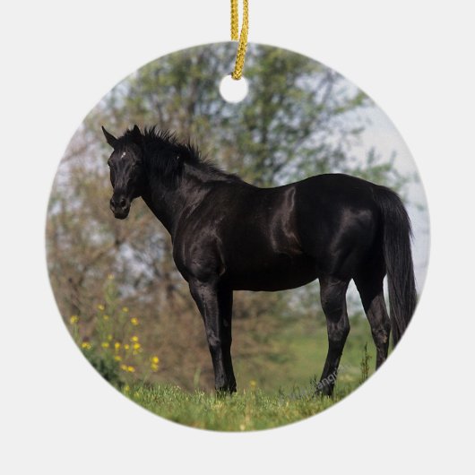 Thoroughbred Horse Standing Keramisch Ornament (Voorkant)