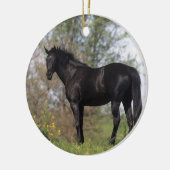 Thoroughbred Horse Standing Keramisch Ornament (Links)