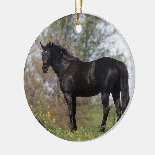 Thoroughbred Horse Standing Keramisch Ornament (Links)