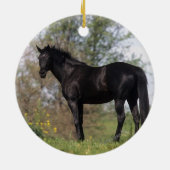 Thoroughbred Horse Standing Keramisch Ornament (Achterkant)