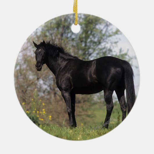 Thoroughbred Horse Standing Keramisch Ornament (Achterkant)