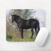 Thoroughbred Horse Standing Muismat (Met muis)