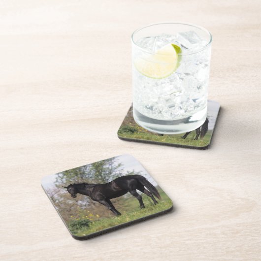 Thoroughbred Horse Standing Onderzetter (Rechterzijde)