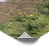 Thoroughbred Horse Standing Poster (Hoek)