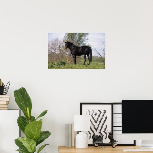 Thoroughbred Horse Standing Poster (Thuiskantoor)