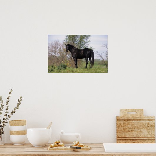 Thoroughbred Horse Standing Poster (Keuken)