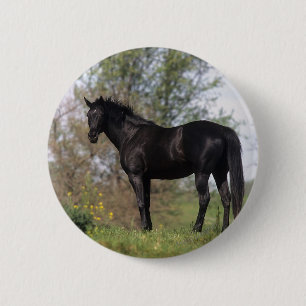 Thoroughbred Horse Standing Ronde Button 5,7 Cm