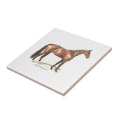 Thoroughbred Horse Tegeltje (Zijkant)
