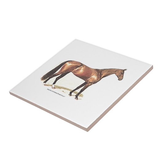 Thoroughbred Horse Tegeltje (Zijkant)