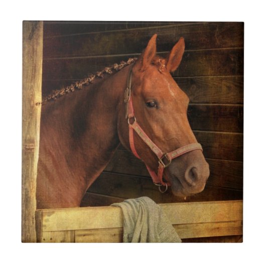 Thoroughbred Horse Tegeltje (Voorkant)
