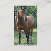 Thoroughbred Horse Visitekaartje (Achterkant)