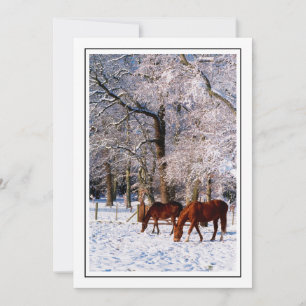 Thoroughbred Horses in sneeuw Feestdagenkaart