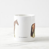 Thoroughbred Koffiemok (Center)