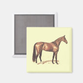 Thoroughbred Magnet (Voorkant / Achterkant)
