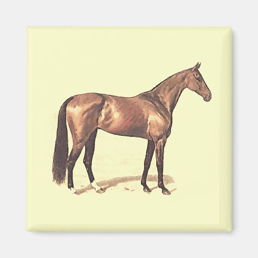 Thoroughbred Magnet (Voorkant)