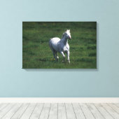 Thoroughbred Mare Canvas Afdruk (Insitu (Houten vloer))