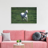 Thoroughbred Mare Canvas Afdruk (Insitu (Woonkamer))