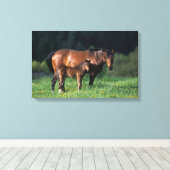 Thoroughbred Mare & Foal 1 Canvas Afdruk (Insitu (Houten vloer))