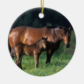 Thoroughbred Mare & Foal 1 Keramisch Ornament (Voorkant)