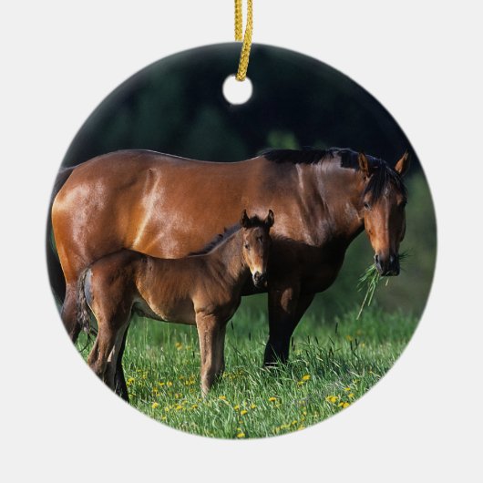 Thoroughbred Mare & Foal 1 Keramisch Ornament (Voorkant)