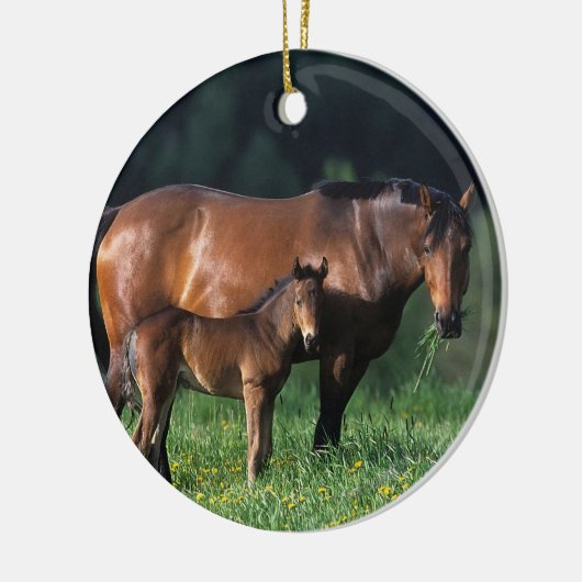 Thoroughbred Mare & Foal 1 Keramisch Ornament (Links)