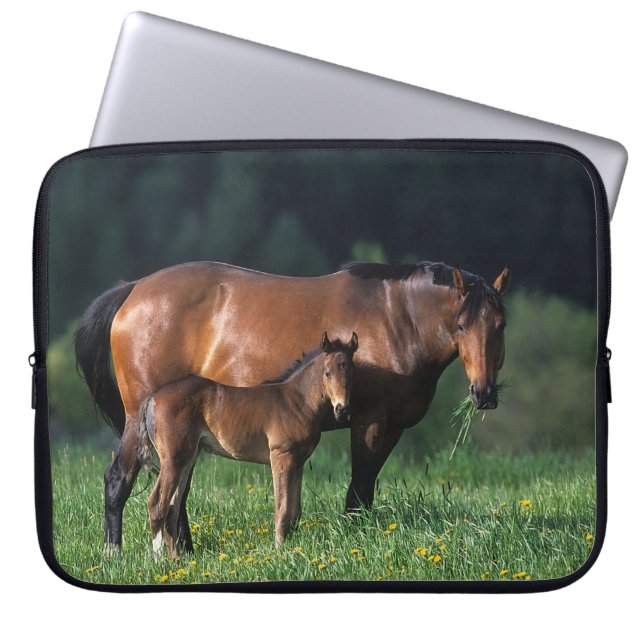 Thoroughbred Mare & Foal 1 Laptop Sleeve (Voorkant)