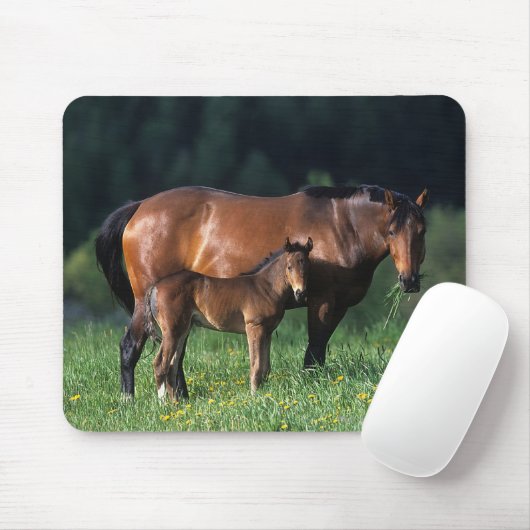 Thoroughbred Mare & Foal 1 Muismat (Met muis)