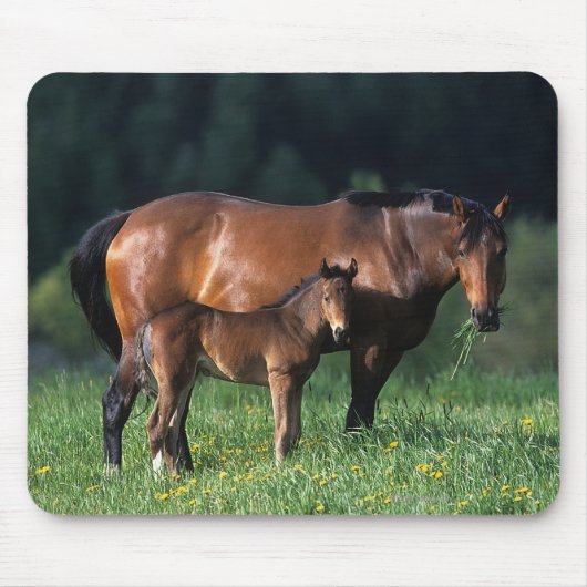 Thoroughbred Mare & Foal 1 Muismat (Voorkant)