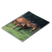 Thoroughbred Mare & Foal 1 Notitieboek (Linkerzijde)