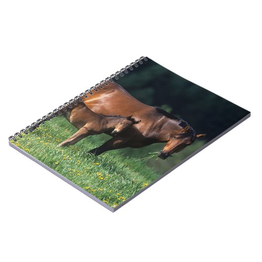 Thoroughbred Mare & Foal 1 Notitieboek (Linkerzijde)