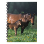 Thoroughbred Mare & Foal 1 Notitieboek (Voorkant)