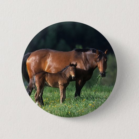 Thoroughbred Mare & Foal 1 Ronde Button 5,7 Cm (Voorkant)