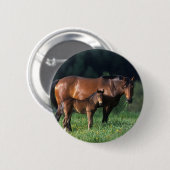 Thoroughbred Mare & Foal 1 Ronde Button 5,7 Cm (Voorkant /achterkant)