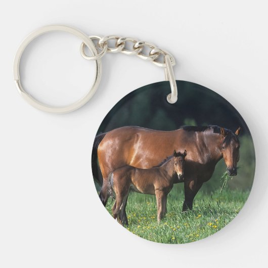 Thoroughbred Mare & Foal 1 Sleutelhanger (Voorkant)