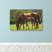 Thoroughbred Mare & Foal 2 Canvas Afdruk (Insitu (Houten vloer))