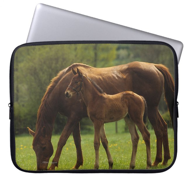 Thoroughbred Mare & Foal 2 Laptop Sleeve (Voorkant)