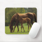 Thoroughbred Mare & Foal 2 Muismat (Met muis)