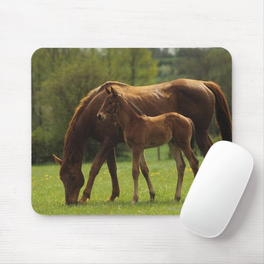 Thoroughbred Mare & Foal 2 Muismat (Met muis)