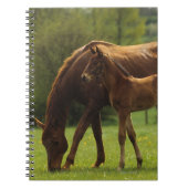 Thoroughbred Mare & Foal 2 Notitieboek (Voorkant)