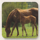 Thoroughbred Mare & Foal 2 Onderzetter (Voorkant)