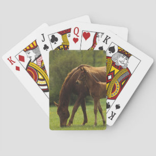 Thoroughbred Mare & Foal 2 Pokerkaarten