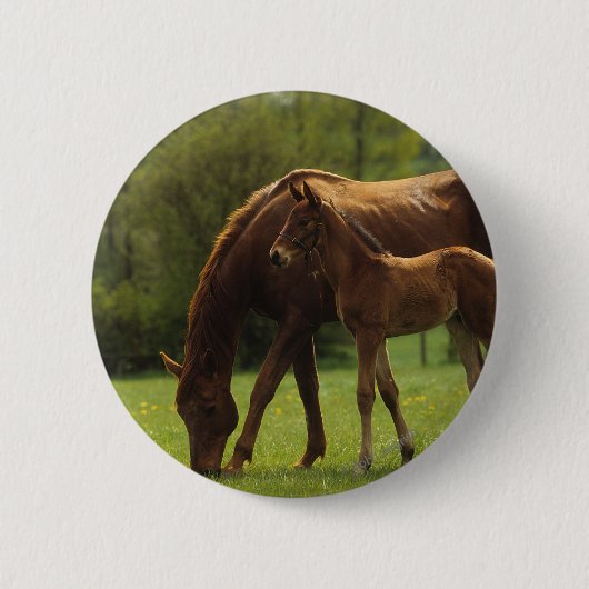 Thoroughbred Mare & Foal 2 Ronde Button 5,7 Cm (Voorkant)