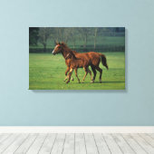 Thoroughbred Mare & Foal 3 Canvas Afdruk (Insitu (Houten vloer))