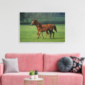 Thoroughbred Mare & Foal 3 Canvas Afdruk (Insitu (Woonkamer))