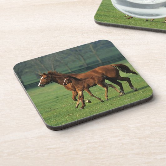 Thoroughbred Mare & Foal 3 Drankjes Onderzetter (Linkerzijde)