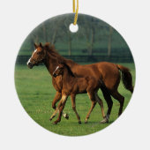 Thoroughbred Mare & Foal 3 Keramisch Ornament (Voorkant)